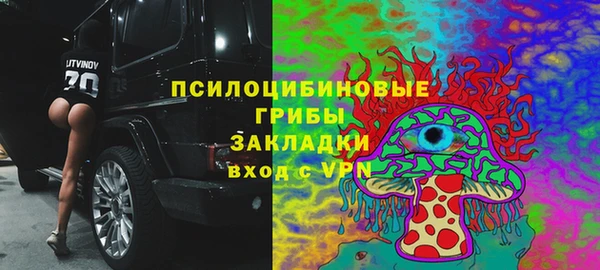 эйфоретик Надым