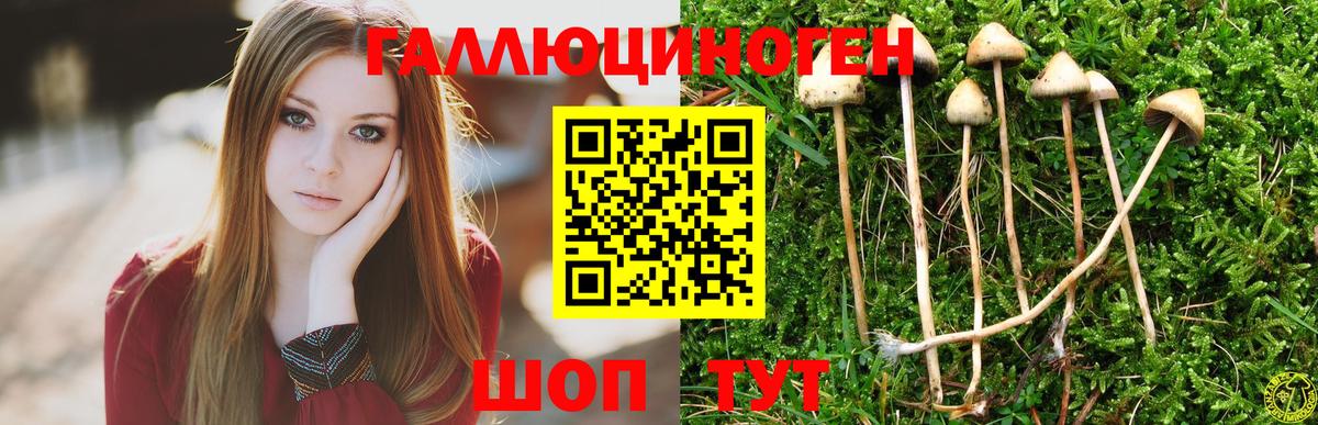Псилоцибиновые грибы MAGIC MUSHROOMS Морозовск