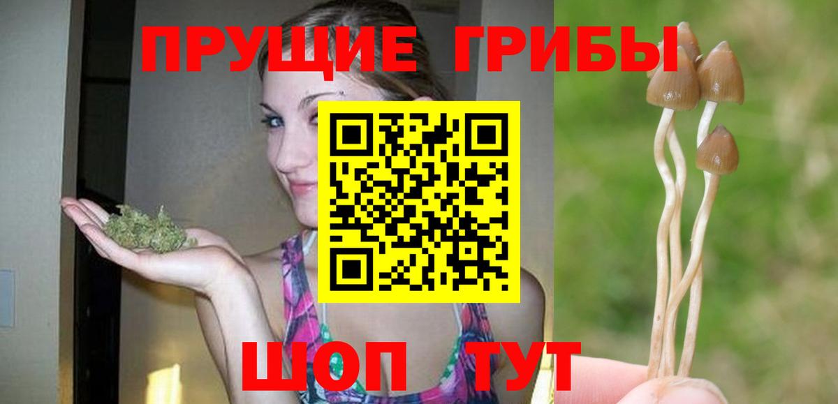 Псилоцибиновые грибы мухоморы  Морозовск 